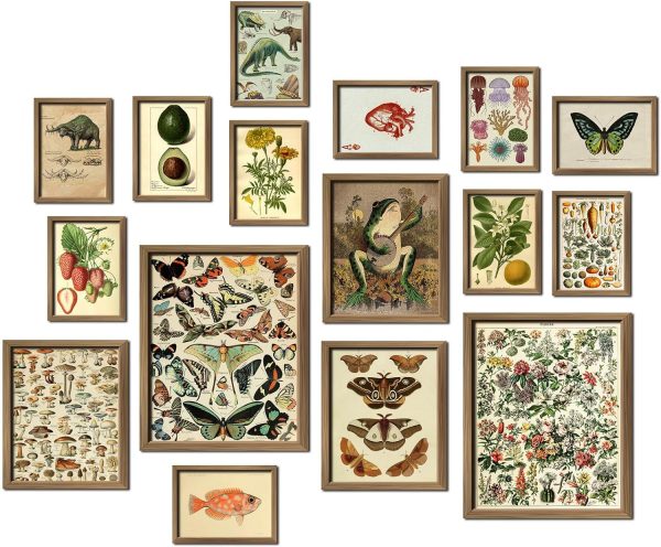 ANERZA 16 PCS Framed Vintage Wall Art Decor, Cottagecore Wall Prints for Bedroom, Gallery Wall Frame Set, Farmhouse Posters for Living Room Aesthetic, Wall Collage Kit Pictures, Rustic Dorm Home Decor