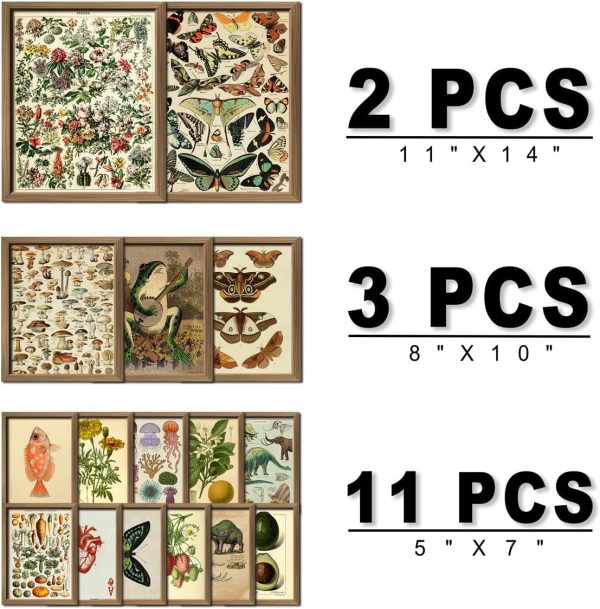 ANERZA 16 PCS Framed Vintage Wall Art Decor, Cottagecore Wall Prints for Bedroom, Gallery Wall Frame Set, Farmhouse Posters for Living Room Aesthetic, Wall Collage Kit Pictures, Rustic Dorm Home Decor - Image 2