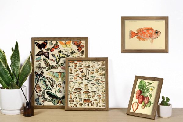 ANERZA 16 PCS Framed Vintage Wall Art Decor, Cottagecore Wall Prints for Bedroom, Gallery Wall Frame Set, Farmhouse Posters for Living Room Aesthetic, Wall Collage Kit Pictures, Rustic Dorm Home Decor - Image 5